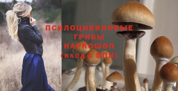 бутират Медногорск