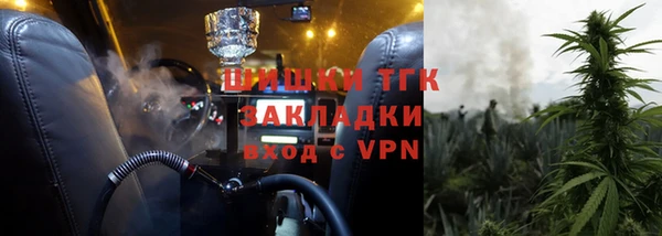 PSILOCYBIN Михайлов