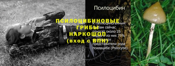 бутират Медногорск