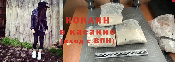 PSILOCYBIN Михайлов