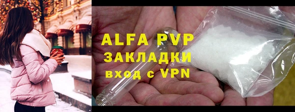 PSILOCYBIN Михайлов