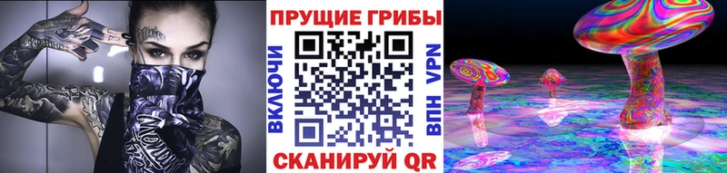 купить наркотики сайты  Осинники  KRAKEN зеркало  Галлюциногенные грибы Psilocybine cubensis 