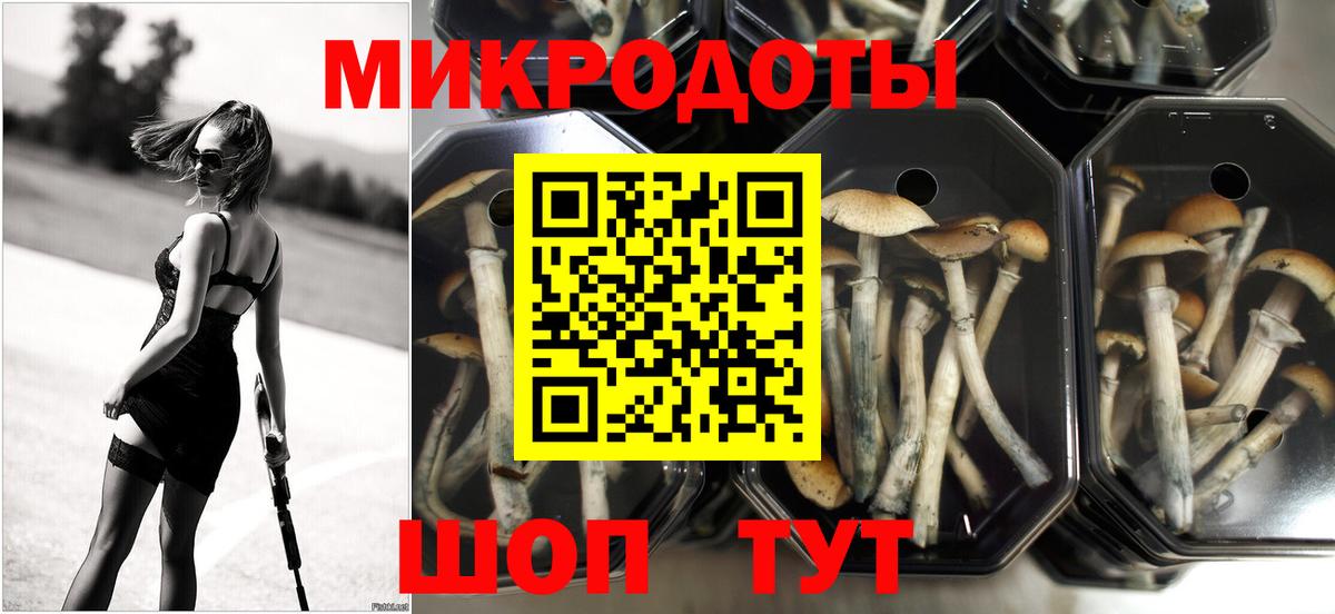 Осинники  где купить наркотик  Вход с VPN  Галлюциногенные грибы Cubensis 